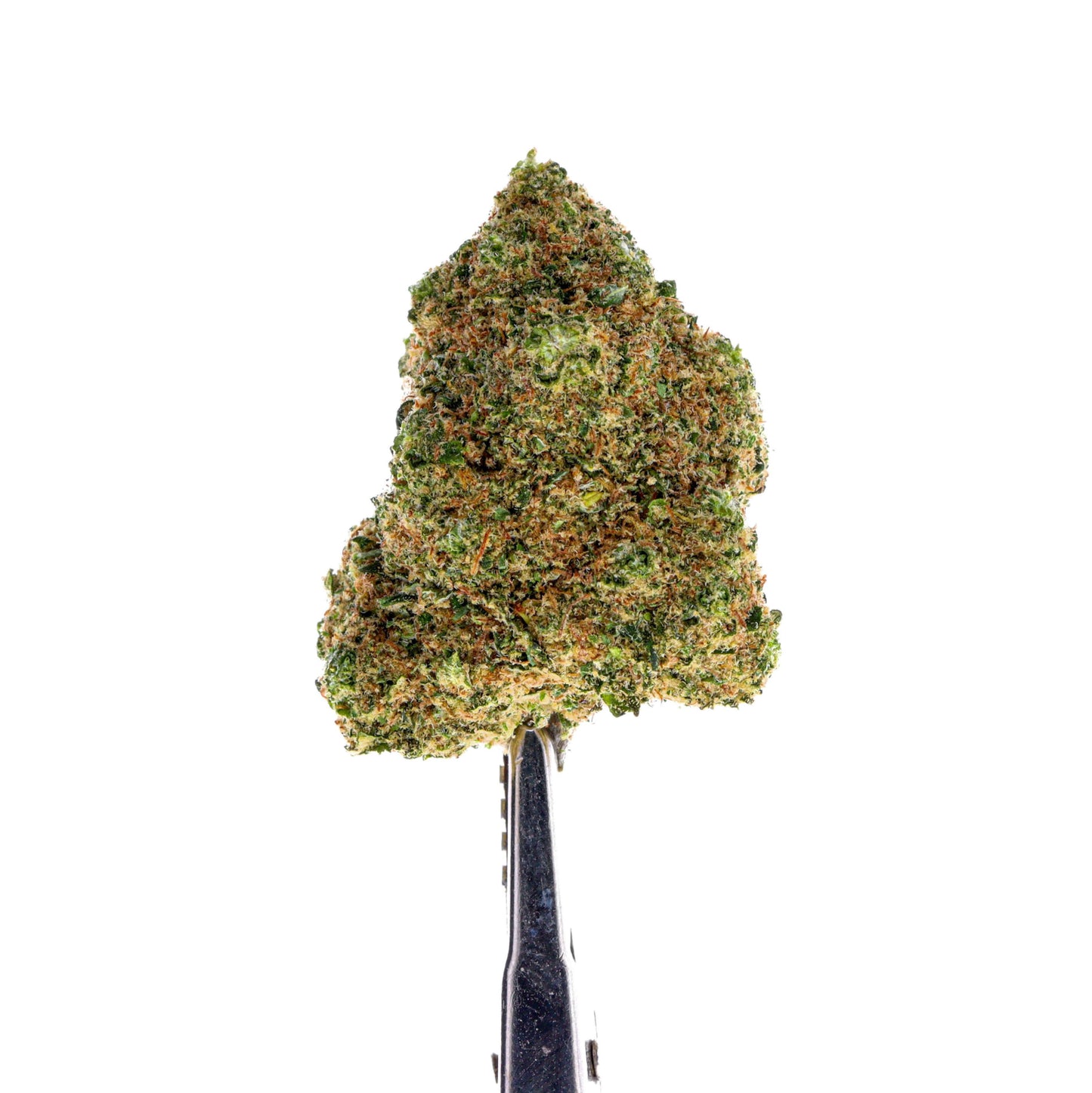 Vanilla kush - CBD Hydro