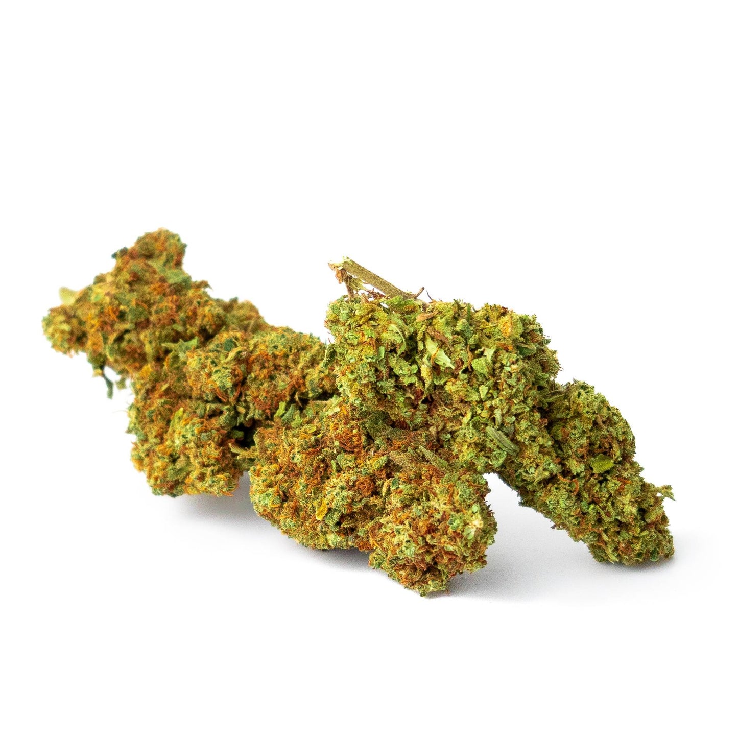 Fruit Berry Indoor